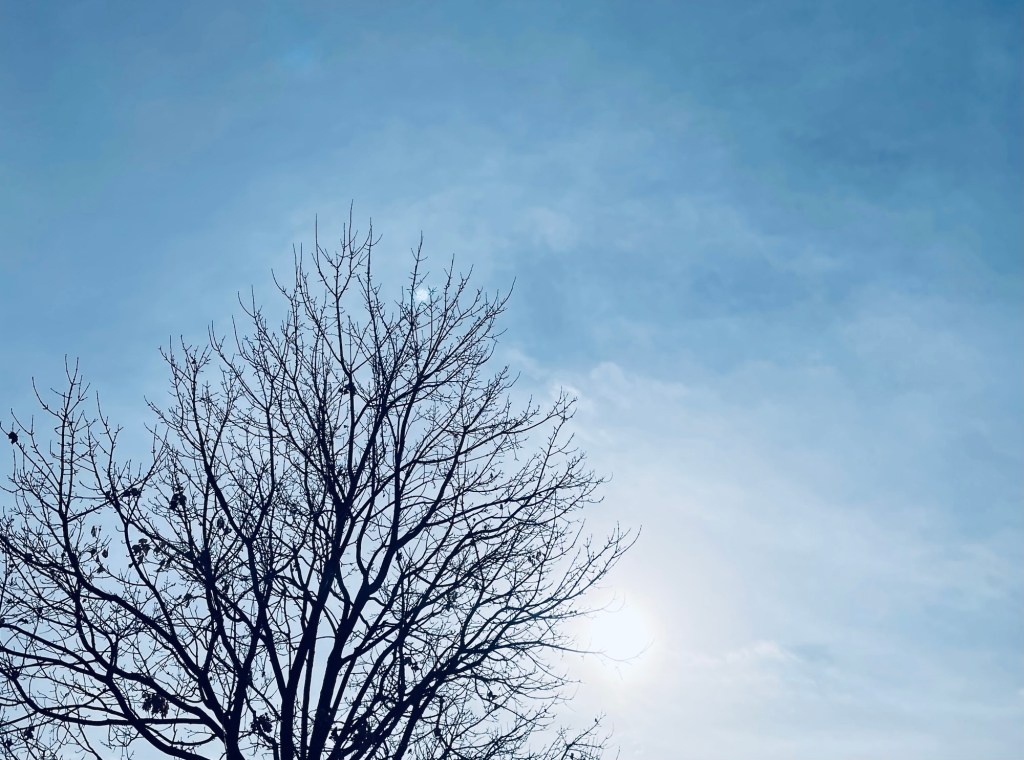 Joy in the Midst of&nbsp;Tragedy